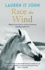 One Dollar Horse: Race the Wind, Paperback/Lauren St John foto