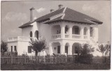 Mangalia. Vila Cirlova (necirculata)