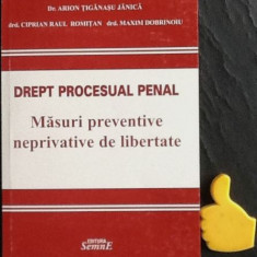 Drept procesual penal masuri preventive neprivative de libertate Arion Tiganasu