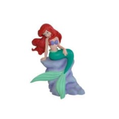 Ariel pe stanca