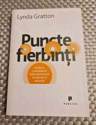 Puncte fierbinti secretul companiilor care debordeaza de energie Lynda Gratton foto