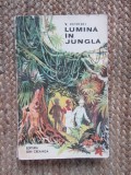 V. Petritki - Lumina in jungla