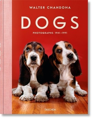 Chandoha, Dogs foto