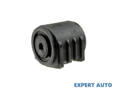 Bucsa brat Chrysler Voyager 4 (2000-2008) [RG] #1 foto