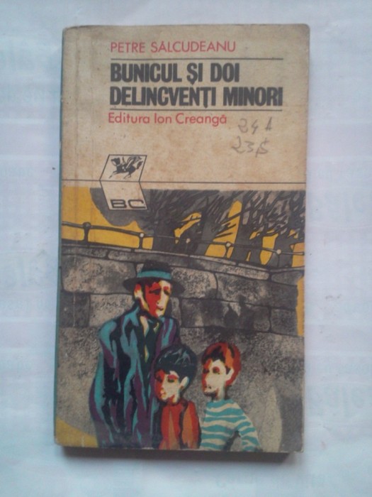 (C422) PETRE SALCUDEANU - BUNICUL SI DOI DELICVENTI MINORI