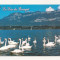 FA28-Carte Postala- FRANTA - Le Lac du Bourget, necirculata