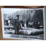 Fotografii Tematica Militari