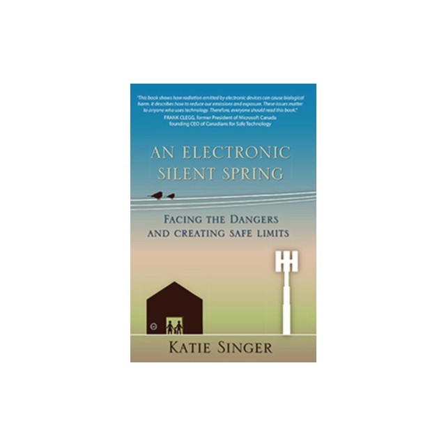 An Electronic Silent Spring: Facing the Dangers and Creating Safe Limits