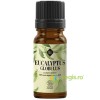Ulei Esential de Eucalipt Globulus Bio 10ml