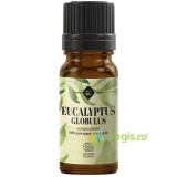 Ulei Esential de Eucalipt Globulus Ecologic/Bio 10ml