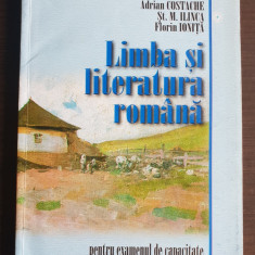 Limba și literatura română pentru examenul de capacitate - Adrian Costache
