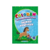 Animale domestice. Desene mari pentru cei mici rom&acirc;nă-engleză - Paperback - Eurobookids