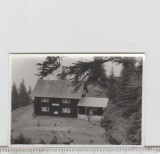 bnk foto Cabana Suru - anii `60
