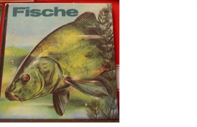 PESTII - HORST SCHRODER , IN LIMBA GERMANA . foto