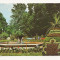 RF6 -Carte Postala- Buzias, vedere din parc , circulata 1984