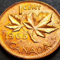 Moneda 1 CENT - CANADA, anul 1965 *cod 688 B = A.UNC