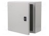 Carcasă montare pe perete SCHNEIDER ELECTRIC 300mm x 300mm x 150mm oţel gri