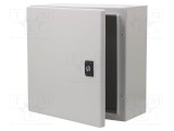 Carcasă montare pe perete SCHNEIDER ELECTRIC 300mm x 300mm x 150mm oţel gri