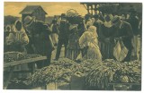 4846 - MARKET, Ethnic, Romania - old postcard - unused