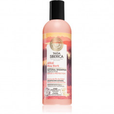 Natura Siberica Taiga Siberica Altai Pine Bark șampon regenerator pentru par deteriorat 270 ml