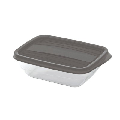 Caserola alimente, Curver Vedo, plastic, dreptunghiulara, transparent + gri, 0.5 L foto