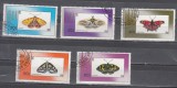 A12 S6 3 - Timbre foarte vechi - Mongolia - fluturi, Fauna, Stampilat