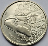 50 Colones 2023 Costa Rica, Silky anole, km#new