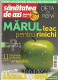 SANATATEA DE AZI NUMARUL 11/2009 - MARUL LEAC PENTRU RINICHI