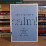 SANDY C. NEWBIGGING - CALM ! , CALEA ORIGINALA SPRE O VIATA MAI BUNA , 2017 *