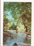 RF56 -Carte Postala- Vedere din Delta Dunarii, circulata 1963