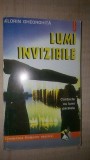 Lumi invizibile- Florin Gheorghita