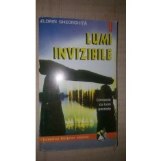 Lumi invizibile- Florin Gheorghita