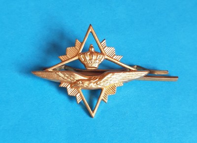 Insigna AVIATIE militara Internationala - Aviator - Pilot - Observator de bord # foto