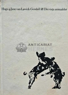 Din viata animalelor - 1975 - Hugo van Lawick Goodall (AH70) foto