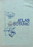Atlas Botanic - 1994 - Lucia Popovici (AP43), Didactica si Pedagogica