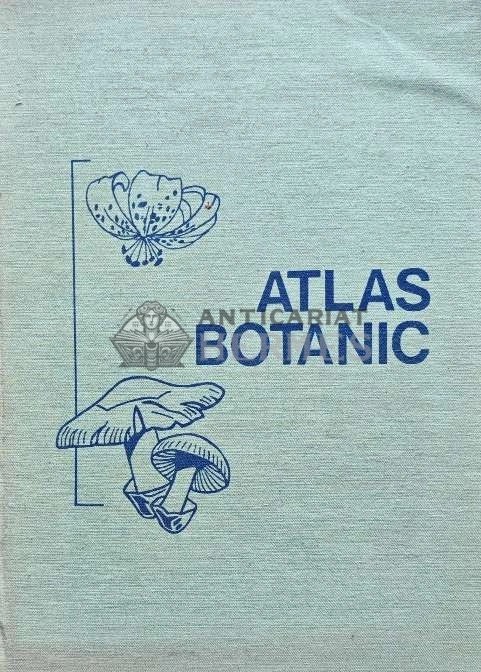 Atlas Botanic - 1994 - Lucia Popovici (AP43)