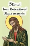 Sfantul Ioan Botezatorul. Slava smereniei