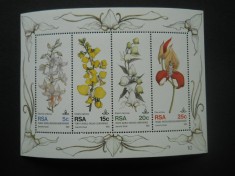 CV2 BLOC AFRICA DE SUD FLORA