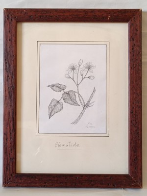 -Clematide-, Ana Carreras, pictura cu certificat de autor foto