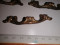 Foto  - 1