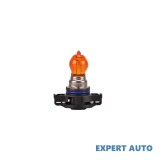 Bec psx24w 12v 24w portocaliu art Alta marca Alt model #7