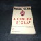 MICHAEL PALMER - A CINCEA FIOLA