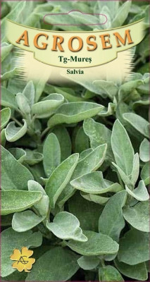 SALVIA MEDICINALA OFFICINALIS, 0.4g foto