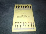I PELTZ - FAUNA BURZULUITILOR