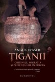 Tiganii - Angus Fraser - Carte Istorie