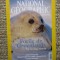 NATIONAL GEOGRAPHIC ROMANIA MARTIE 2004 FOCILE DE GROENLANDA