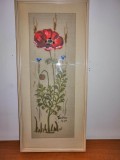 Tablou Mac rosu flori de camp albastrele pictura pe panza 1964 rama protectie