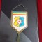 Fanion FC Olimpia Satu Mare