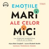 Cumpara ieftin Emoțiile mari ale celor mici. Cum să gestionezi accesele de furie, crizele de nervi și sfidarea - Audiobook - Alyssa Blask Campbell