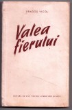 Valea fierului de dragos vicol aceasta carte este un roman editat de editura espla in anul 1953